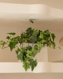 Vaso Decorativo de Cerâmica – Branco