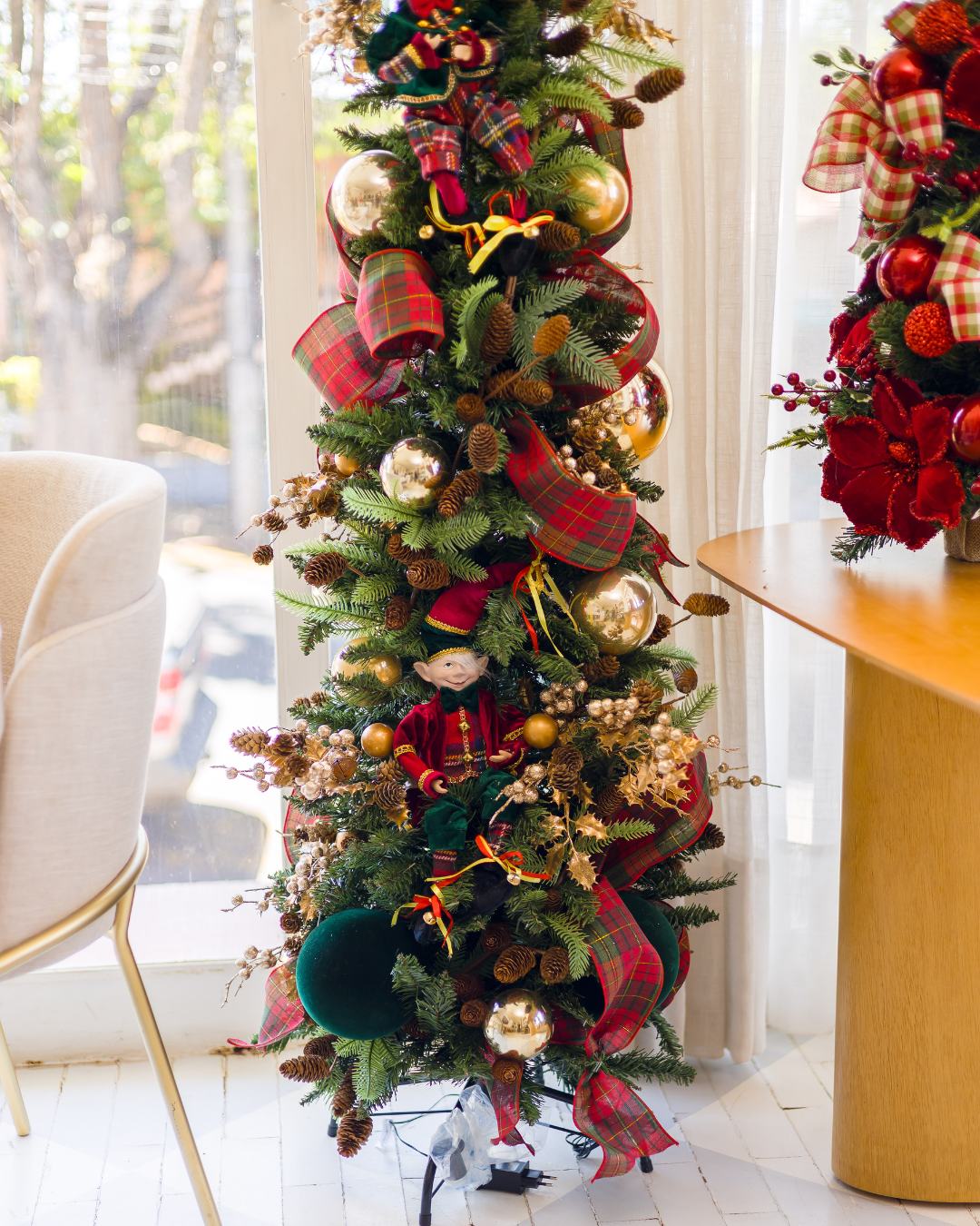 Árvore Highlands – 1,78m