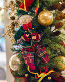 Árvore Highlands – 1,78m