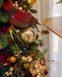 Árvore Highlands – 1,78m