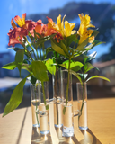 Vaso Decorativo 5 Tubos W 19,5x9x22 cm