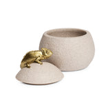 Pote Caméléon - 17x13cm