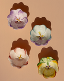Conjunto 4 Bowls M[edios  Amor Perfeito Le Jardin