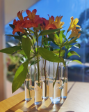 Vaso Decorativo 5 Tubos W 19,5x9x22 cm