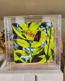 Quadro acrílico Personalizado Vibra - 16x16cm