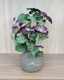 Kokedama Hortelã - 01 Un