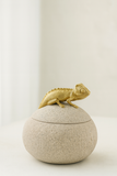 Pote Caméléon