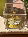 Caixa Acrílica com Beija-Flor – 15 x 15 cm