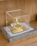 Caixa Acrílica com Beija-Flor – 15 x 15 cm