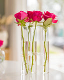 Vaso 4 Pontas Nexos em Vidro - 13x20cm