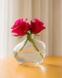 Vaso em Vidro Pure Form - 11x9cm