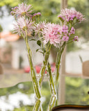 Vaso de Vidro X com 4 Pontas