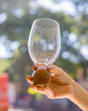 Dupla de Taças para Vinho Cristal & Acácia - 520ml