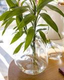 Vaso Decorativo em Murano Transparente 36cm - Edra