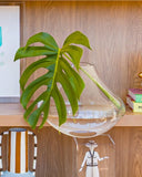 Vaso Decorativo Noema em Murano Transparente – 35 cm