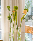 Vaso de Vidro X com 4 Pontas