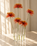 Vaso Decorativo 5 Tubos W 19,5x9x22 cm