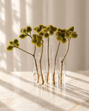 Vaso Decorativo 5 Tubos W 19,5x9x22 cm