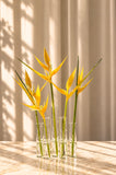 Vaso Decorativo 5 Tubos W 19,5x9x22 cm