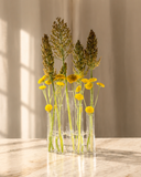 Vaso Decorativo 5 Tubos W 19,5x9x22 cm