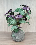 Kokedama Hortelã - 01 Un