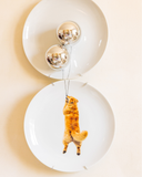 Vista frontal dos pratos decorativos de parede em porcelana com balões prateados e golden retriever