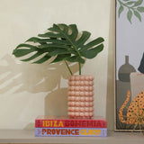 Livro Provence Glory - Francois Simon